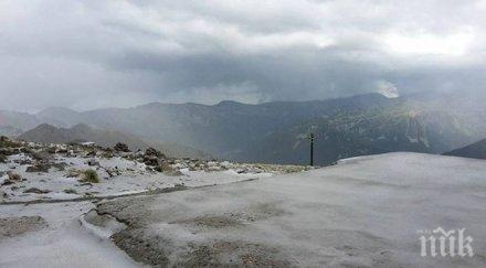 якутия капан ранен дълбок сняг руския североизток остави добитъка без паша