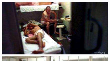 креватни дървеници тормозят затворниците бургас