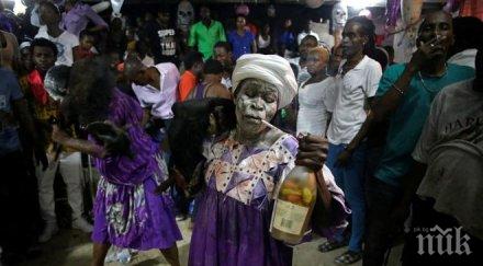 хаити става страшно вуду вещици обезглавяват невинни животни улиците мъртъвци наблюдават потресаващи снимки