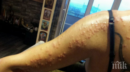 тотална мизерия дървеници развалена храна четиризвезден хотел снимки