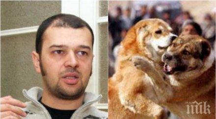 кръв зрелище шокиращи разкрития маскирали боевете кучета изложби