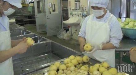 без оскъпяване обяда училище