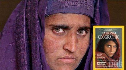 депортират пакистанското момиче зелените очи нешънъл джиографик снимка