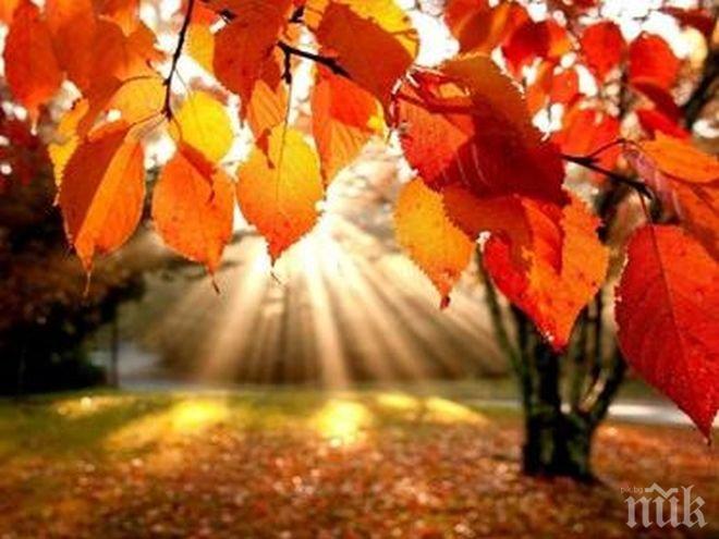 Предимно слънчево, дневните температури ще се повишат