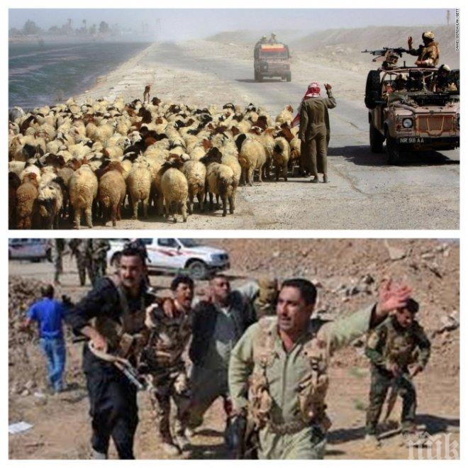 Споразумението в Сирия е било нарушено 46 пъти в последните 24 часа