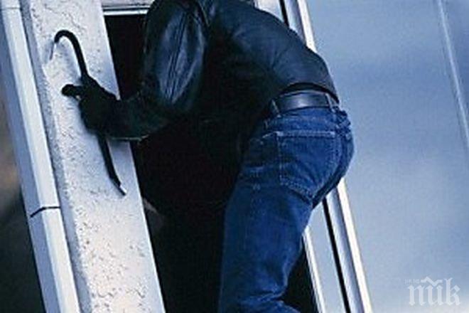 Сладка нощ за апашите в Пловдивско, задигнаха 12 хил. лева