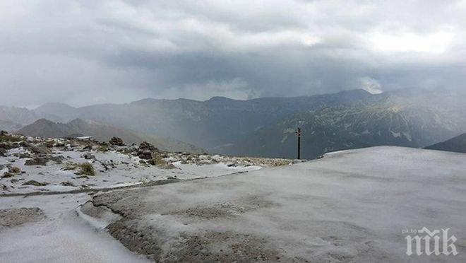 ЯКУТИЯ В КАПАН! Ранен дълбок сняг в руския североизток остави добитъка без паша