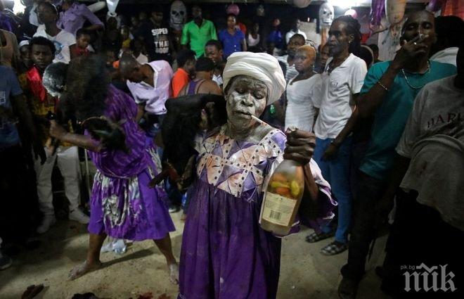 В Хаити става страшно! Вуду вещици обезглавяват невинни животни на улиците, мъртъвци ги наблюдават (ПОТРЕСАВАЩИ СНИМКИ)