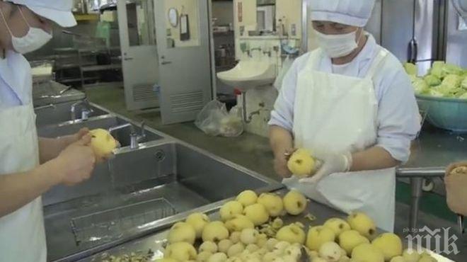 Без оскъпяване на обяда в училище