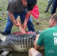 Датски турист тушира крокодил в Австралия
