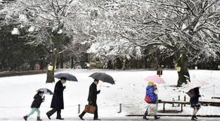 изненада ранен снеговалеж затрупа японския остров хокайдо