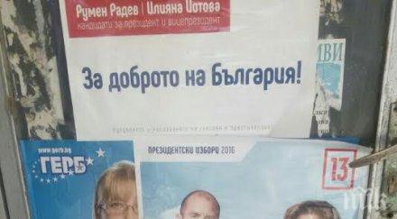 приятел москва две крачки властта българия