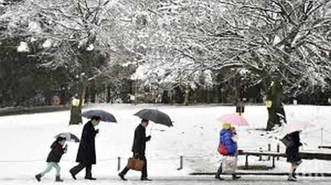 Изненада: Ранен снеговалеж затрупа японския остров Хокайдо