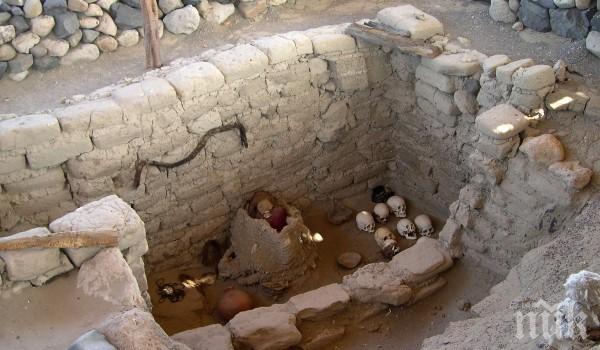 Да откриеш най-значимата археологическа находка … вместо тоалетната