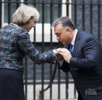 Лидерите в потрес! Тереза Мей прикотка Виктор Орбан за Брекзит-а