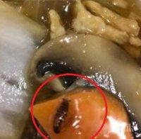 ГНУСНО! Пловдивчанка си поръча храна от китайски ресторант - това, което намери вътре, я шокира (СНИМКИ)