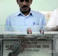 Индийска риба оракул посочи Тръмп като новия президент на Америка 