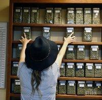 Референдум: Калифорния легализира марихуаната за лица над 21 години