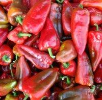 РЕЗИЛ! Полицаи пишат акт: Чушката капия е стока с висок финансов риск

 