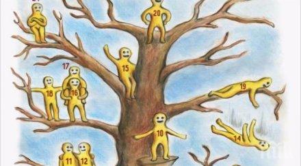 абсолютно точен тест определя емоционалното състояние момента