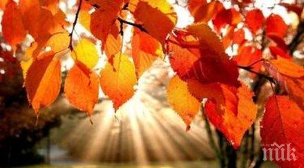 пикът циганското лято температурите удрят рекорди градуса силни дъждове помрачават хубавото време