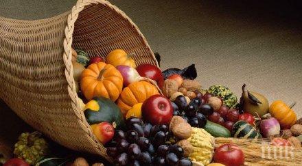 важно запазим есенните плодове свежи пролетта