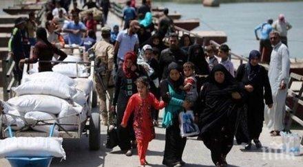 тревога разузнавач израел шокираща прогноза централна европа стане мюсюлманска властите затворят границите бежанци