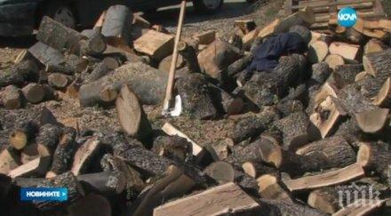 фирмите дървопреработка въвеждат електронен дневник