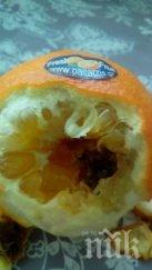 шок черен портокал отказа пазарджиклийка семейството цитрусите