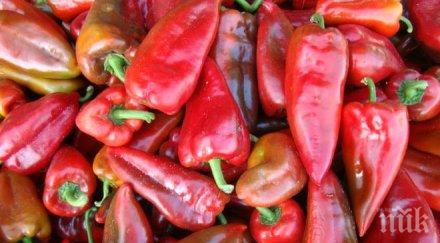 резил полицаи пишат акт чушката капия стока висок финансов риск