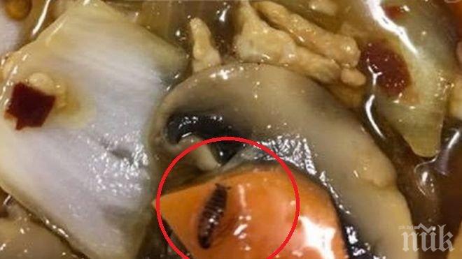 ГНУСНО! Пловдивчанка си поръча храна от китайски ресторант - това, което намери вътре, я шокира (СНИМКИ)