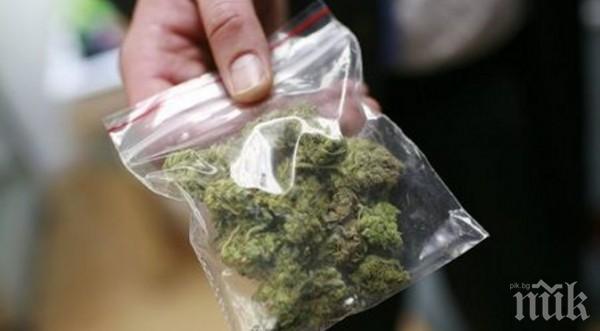 Флорида за легализиране на марихуаната