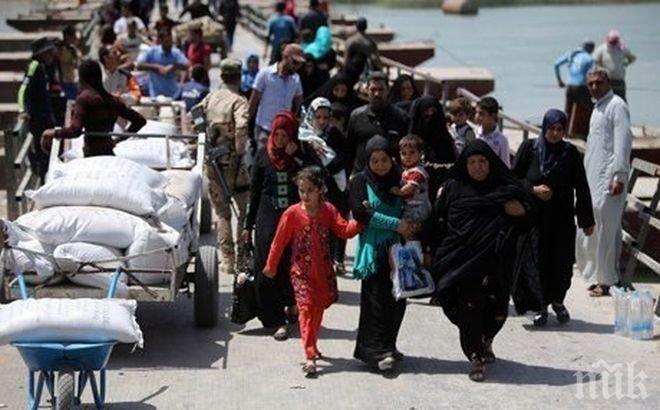 ТРЕВОГА! Разузнавач от Израел с шокираща прогноза: Централна Европа може да стане мюсюлманска, ако властите не затворят границите за бежанци