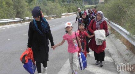 закопчаха годишна софиянка скрила дома бежанци