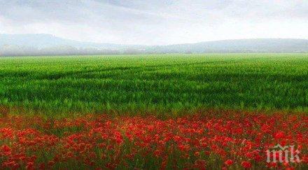 българия влиза тежката нощ десети ноември насам бог пази