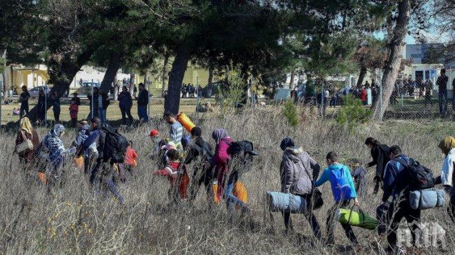 150 мигранти от Афганистан тръгнали пеш от Белград към Хърватия