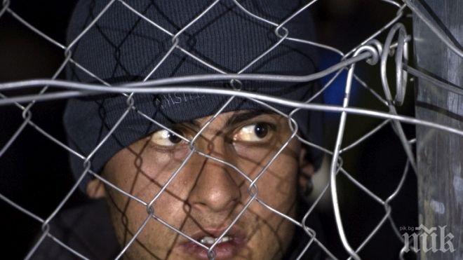 Над 1,5 млн. афганистански бежанци може да се върнат в родината си през 2016 г.