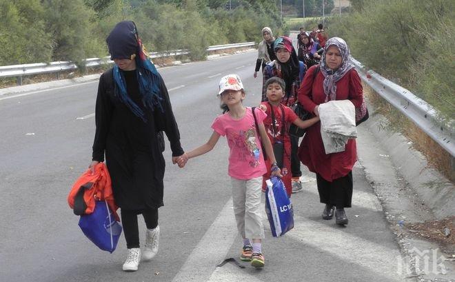 Закопчаха 65-годишна софиянка, скрила в дома си 15 бежанци