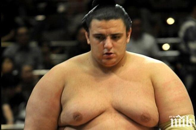 Гиганта от Елхово стартира с поражение