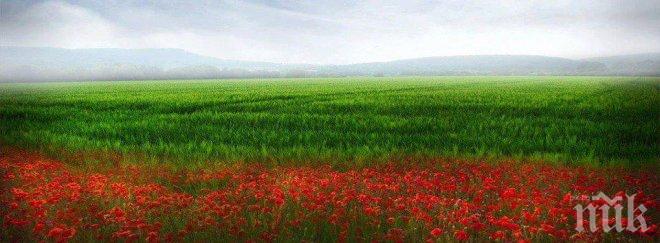 България влиза в най-тежката си нощ от Десети ноември насам! Бог да ни пази!