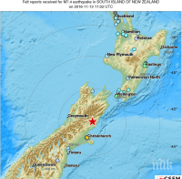 Силни земетресения разлюляха Нова Зеландия