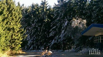 синоптиците обещават слънце минус градуса