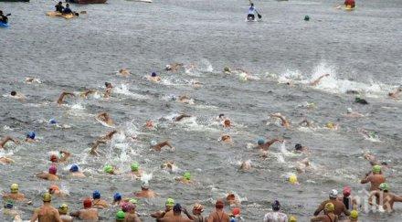 воден екшън медузи нажилиха атлети време плувен маратон