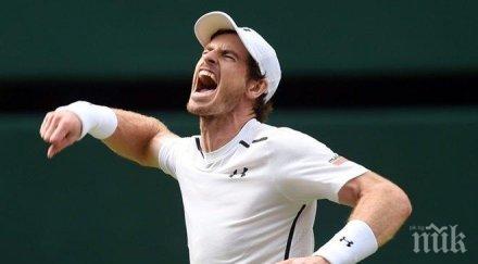 мача мнението мъри нишикори