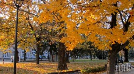 клинч слънцето покаже топли носете палта шапки