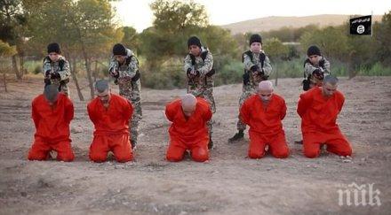 почти хиляди чужденци влели ислямска държава