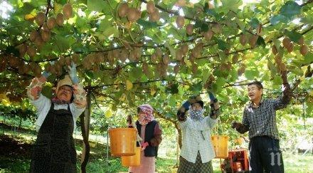 юруш кивито северна гърция заплатите 600 1250 евро