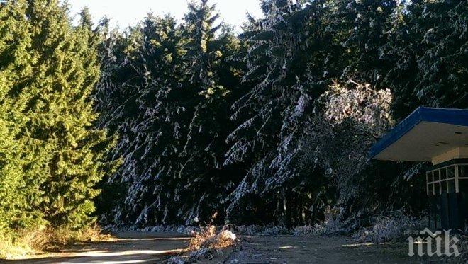 Синоптиците обещават слънце за утре, но и минус 4 градуса