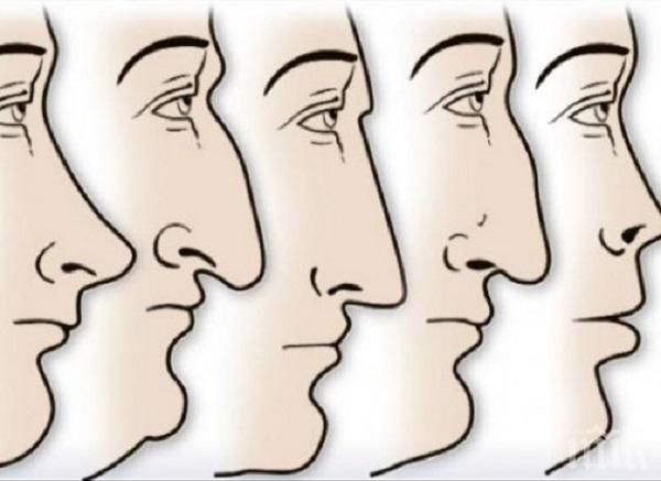 Формата на носа издава много за характера на един човек, знаеш ли, че...
