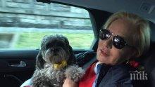 Силви Вартан идва с любимия си Мъфин
